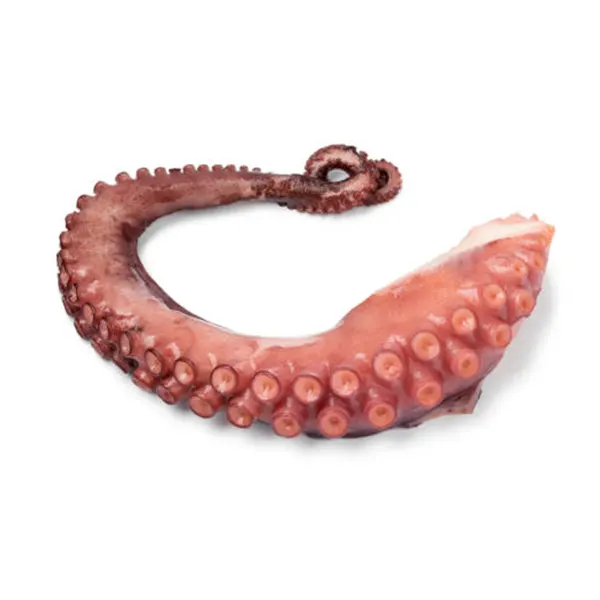 OCTOPUS PLOK. INDONESIAN BR (100-150) (10*500gr) PANTAZI