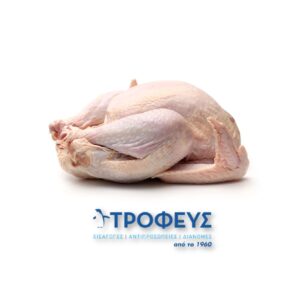 ΓΑΛΟΠΟΥΛΑ Ε.Ε (3.2kg)