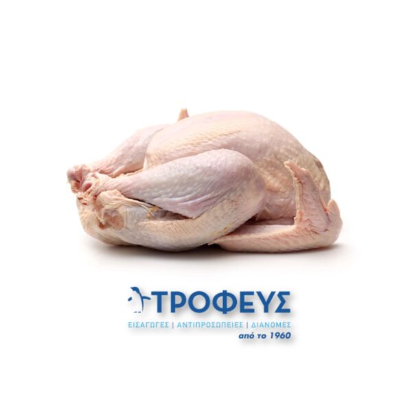 ΓΑΛΟΠΟΥΛΑ Ε.Ε (3.2kg)