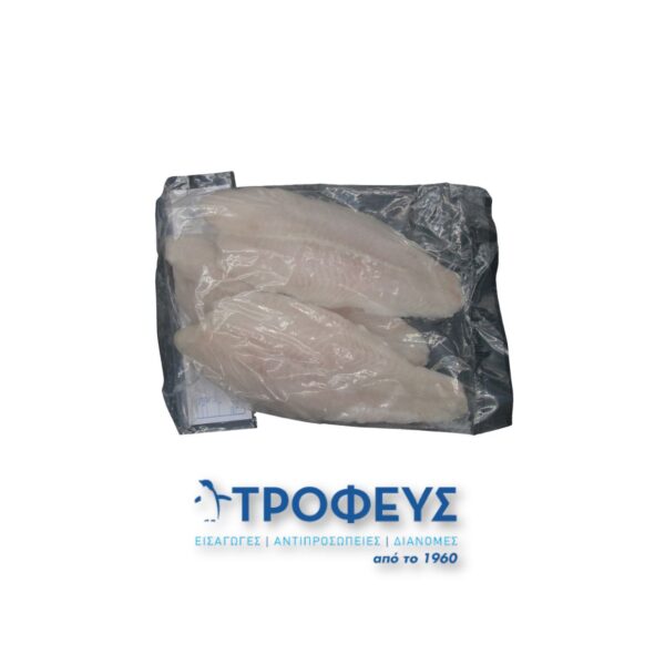 PANGASIUS ΦΙΛΕΤΟ ΒΙΕΤΝΑΜ (10kg) Κ/Ψ