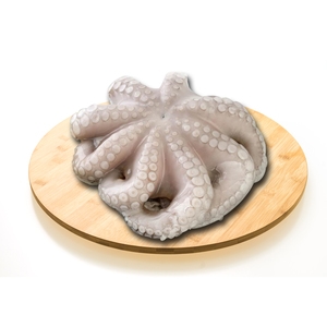 ΧΤΑΠΟΔΙ ΙΝΔΟΕΙΡ.TOBA SUR Τ4 (12kg) ΦΡΙΓΚΟΡ