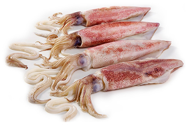 ΚΑΛΑΜΑΡΙ 6/10 ΙΝΔΙΩΝ (6*2kg) ΔΑΣ.