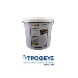FAMA ΠΡΑΛΙΝΑ GOURMET ΖΑΧΑΡΟΠΛΑΣΤΙΚΗΣ (12kg)