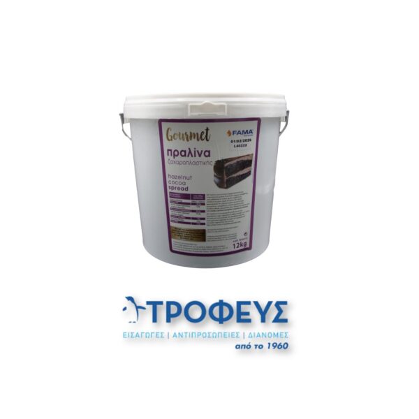 FAMA ΠΡΑΛΙΝΑ GOURMET ΖΑΧΑΡΟΠΛΑΣΤΙΚΗΣ (12kg)