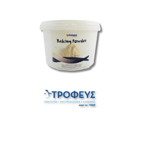FAMA BAKING POWDER PREMIUM (5kg)