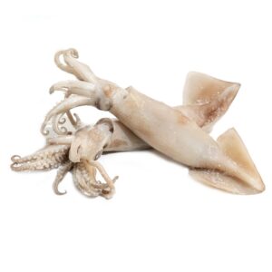 ΘΡΑΨΑΛΑ ΑΡΓ. ΣΧΑΡΑΣ XL (6kg) PESC