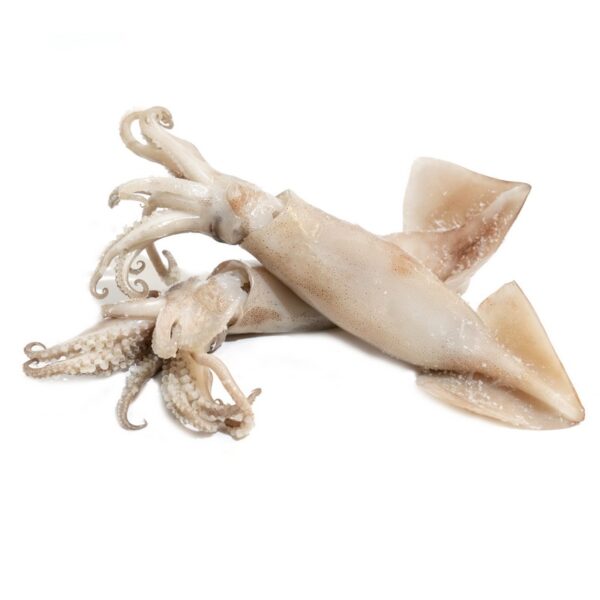 ΘΡΑΨΑΛΑ ΑΡΓ. ΣΧΑΡΑΣ XL (6kg) PESC