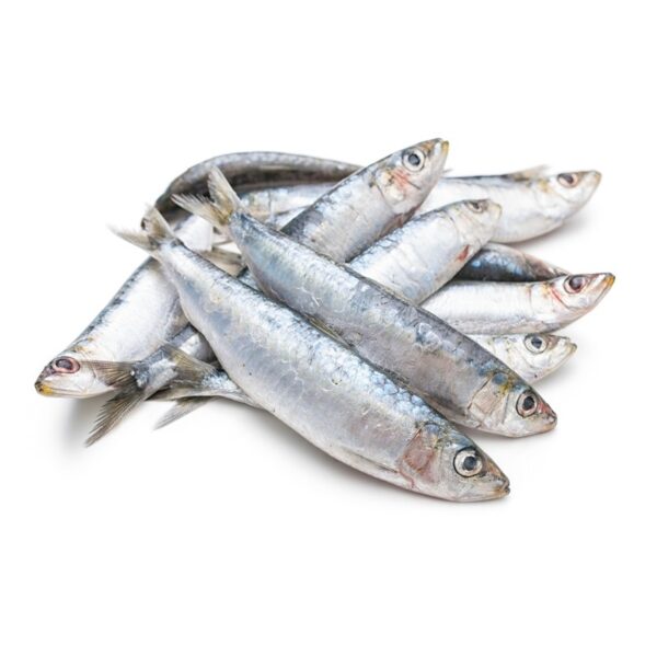ΣΑΡΔΕΛΑ ΟΛΟΚΛ (10*1kg) ΟΜΗΡΟΣ