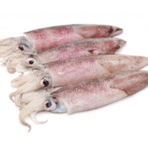 ΚΑΛΑΜΑΡΙ LOLIGO 100/200 ΟΛ. IQF (1*5kg)