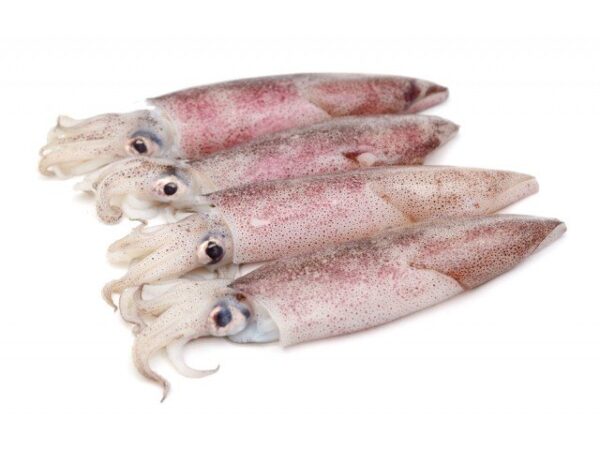 ΚΑΛΑΜΑΡΙ LOLIGO 100/200 ΟΛ. IQF (1*5kg)