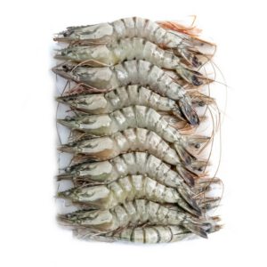 ΓΑΡΙΔΕΣ BLACK TIGER 16/20 (10*800gr)