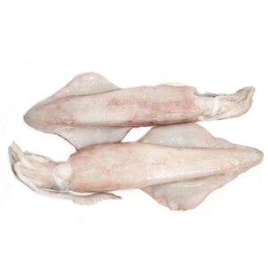 ΚΑΛΑΜΑΡΙ LOLIGO ΟΛΟΚΛ. 300/500 (1*5kg) ΟΜΗΡΟΣ