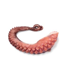 ΧΤΑΠΟΔΙ ΠΛΟΚ. ALF ΒΡΑΣΜ. Τ3 (150-200) (3*1.5kg) Κ/Ψ ΟΜΗΡΟΣ