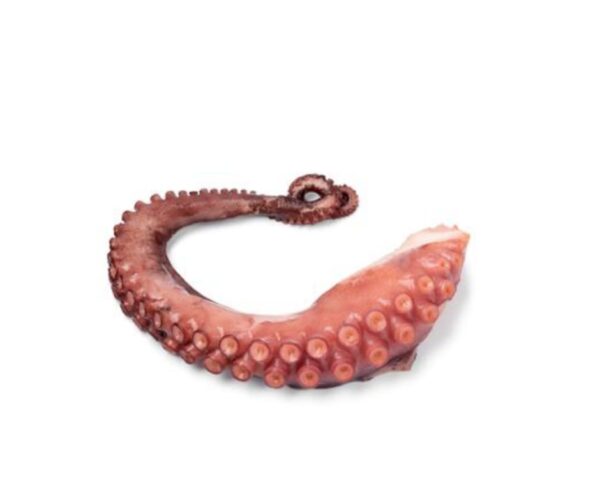 ΧΤΑΠΟΔΙ ΠΛΟΚ. ALF ΒΡΑΣΜ. Τ3 (150-200) (3*1.5kg) Κ/Ψ ΟΜΗΡΟΣ
