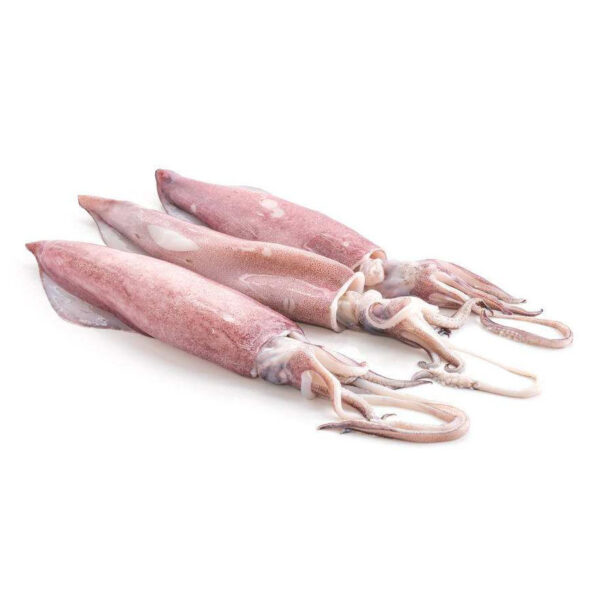 ΚΑΛΑΜΑΡΙ ΙΝΔΙΑΣ U3 ΟΛ. ΑΛΙΕΙΑΣ (6*2kg) ΟΜΗΡΟΣ