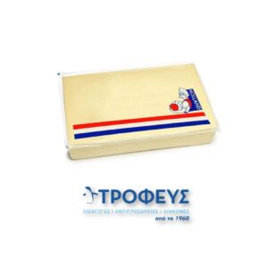 ΓΚΟΥΝΤΑ ΜΠΛΟΚ ΟΛΛΑΝΔΙΑΣ (ΚΟΠΕΛΑ)