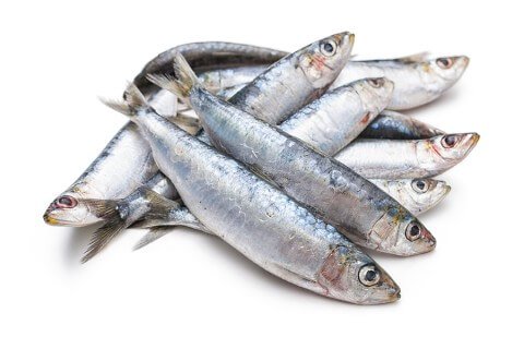 ΣΑΡΔΕΛΑ ΟΛΟΚΛ 30/50 (10*1kg) ΚΑΛΛΙΜΑΝΗΣ